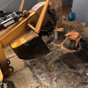 Stump and Tree Services